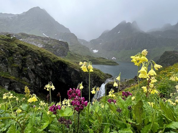 玖富配资 隐身万象之后依循自然写作，因为不想只站在现实这一边