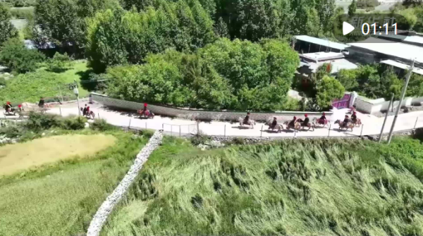 聚赢配资网 西藏加查：青稞田里迎丰收_大皖新闻 | 安徽网